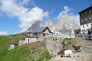 P1110426