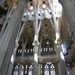 Sagrada Familia Zuilen in het schip verbeelden een oerwoud