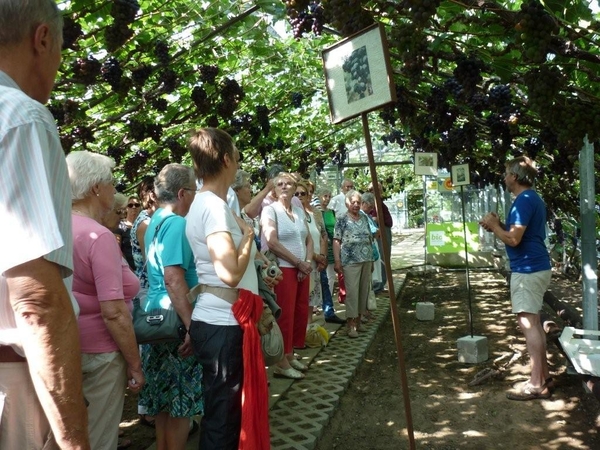 Daguitstap naar Overijse - 24 juli 2013