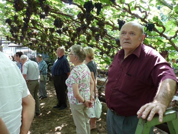 Daguitstap naar Overijse - 24 juli 2013