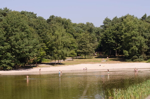 natuur zwemvijver in de bossen