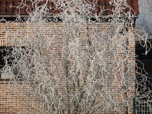 WINTER 2007 (2)