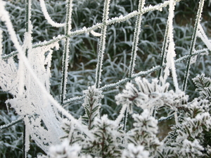 WINTER 2007 (4)