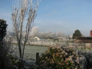 WINTER 2007 (5)