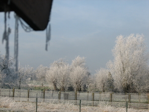 WINTER 2007 (7)