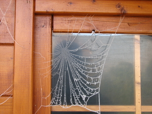 WINTER 2007 (8)