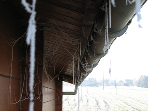 WINTER 2007 (13)