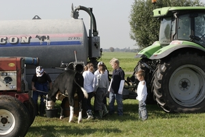 zelfs op 3 poten lukt het drinken uit de emmer   foto 4287