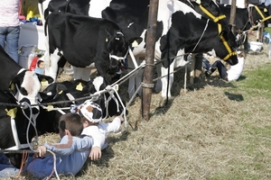 4355 Die kinderen kunnen lekker schommelen