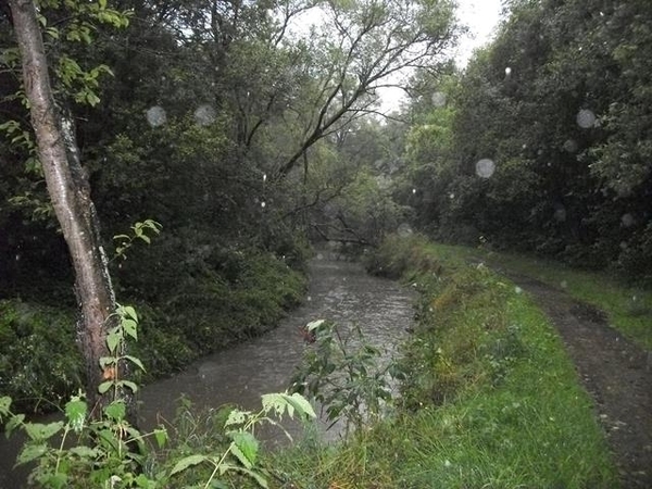 017-Door regen voor 18.1km....