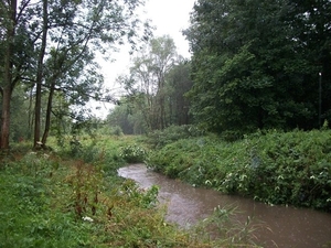 019-De kronkelde Ijse door Huldenberg