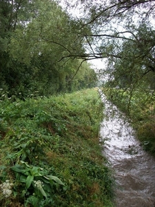 034-Verder langs de Ijse-Loonbeek