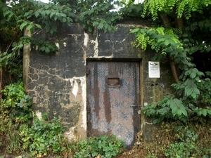 077-Oude bunker schuilplaats voor vleermuizen