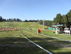 IMG_8445 (Small)