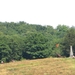 2013-07 27 Vierves 018