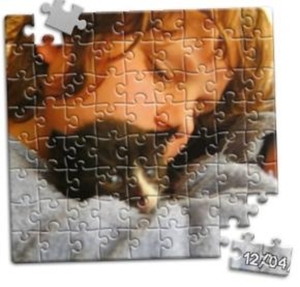 PUZZEL VAN YVES