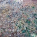 P1050483
