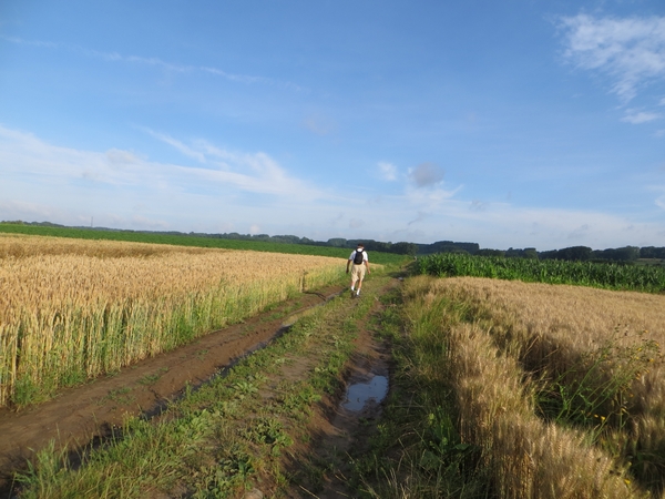 2013-07-28 Everbeek 006