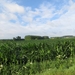 2013-07-28 Everbeek 008