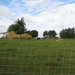 2013-07-28 Everbeek 010