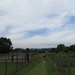 2013-07-28 Everbeek 014