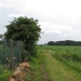 2013-07-28 Everbeek 015