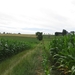 2013-07-28 Everbeek 017