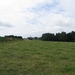2013-07-28 Everbeek 018