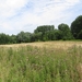 2013-07-28 Everbeek 019