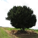 2013-07-28 Everbeek 020
