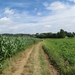 2013-07-28 Everbeek 021