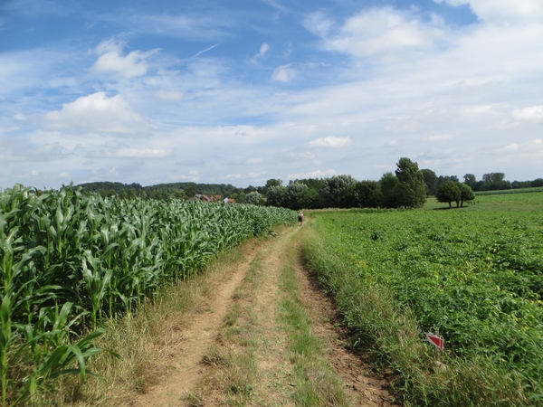 2013-07-28 Everbeek 021