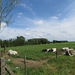 2013-07-28 Everbeek 022