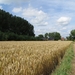 2013-07-28 Everbeek 023