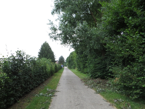 2013-07-29 Budingen 009