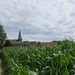 2013-07-29 Budingen 026