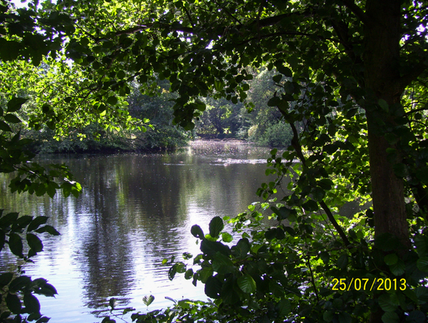 Fietsen naar en wandelen in Roosendael -  25 juli 2013