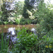 Fietsen naar en wandelen in Roosendael -  25 juli 2013