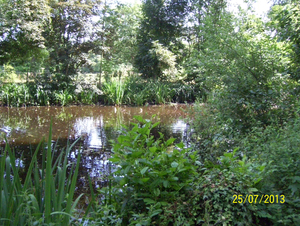 Fietsen naar en wandelen in Roosendael -  25 juli 2013