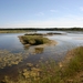 BaiedeSomme088