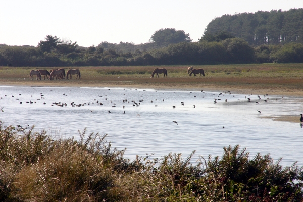 BaiedeSomme105