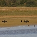 BaiedeSomme107