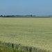 P1040414