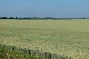 P1040414