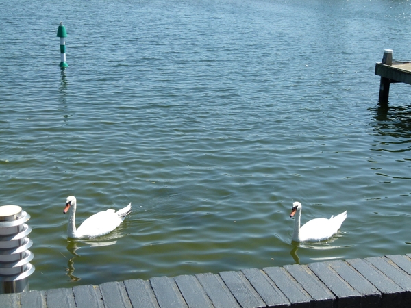 P1040434