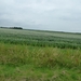 P1040480