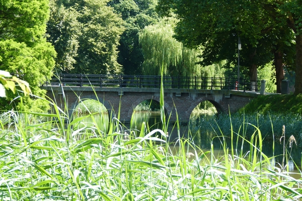 P1040540