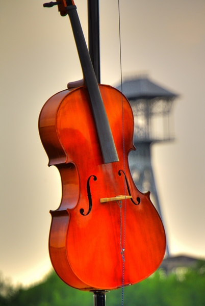 IMG_2030_1_2_tonemapped