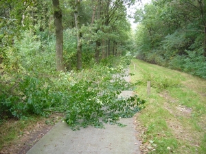 Fietspad ????