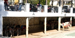 Mijas - ezeltjes